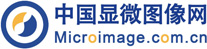 中国显微图像网
